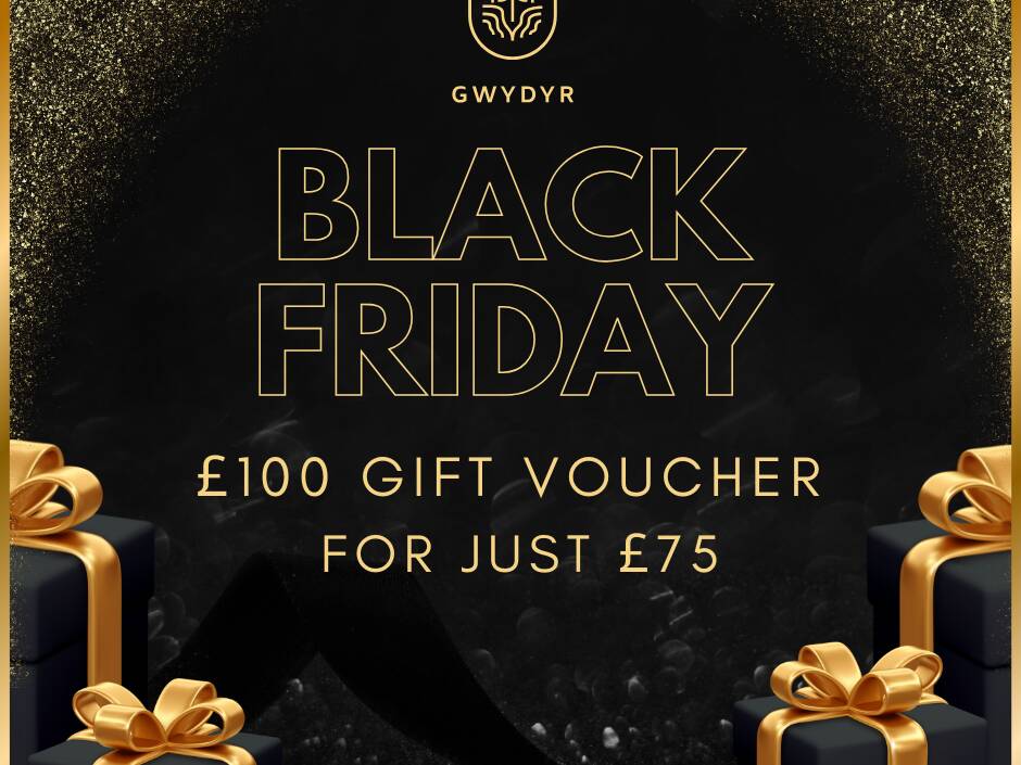 BLACK FRIDAY DEAL £100 VOUCHER FOR £75